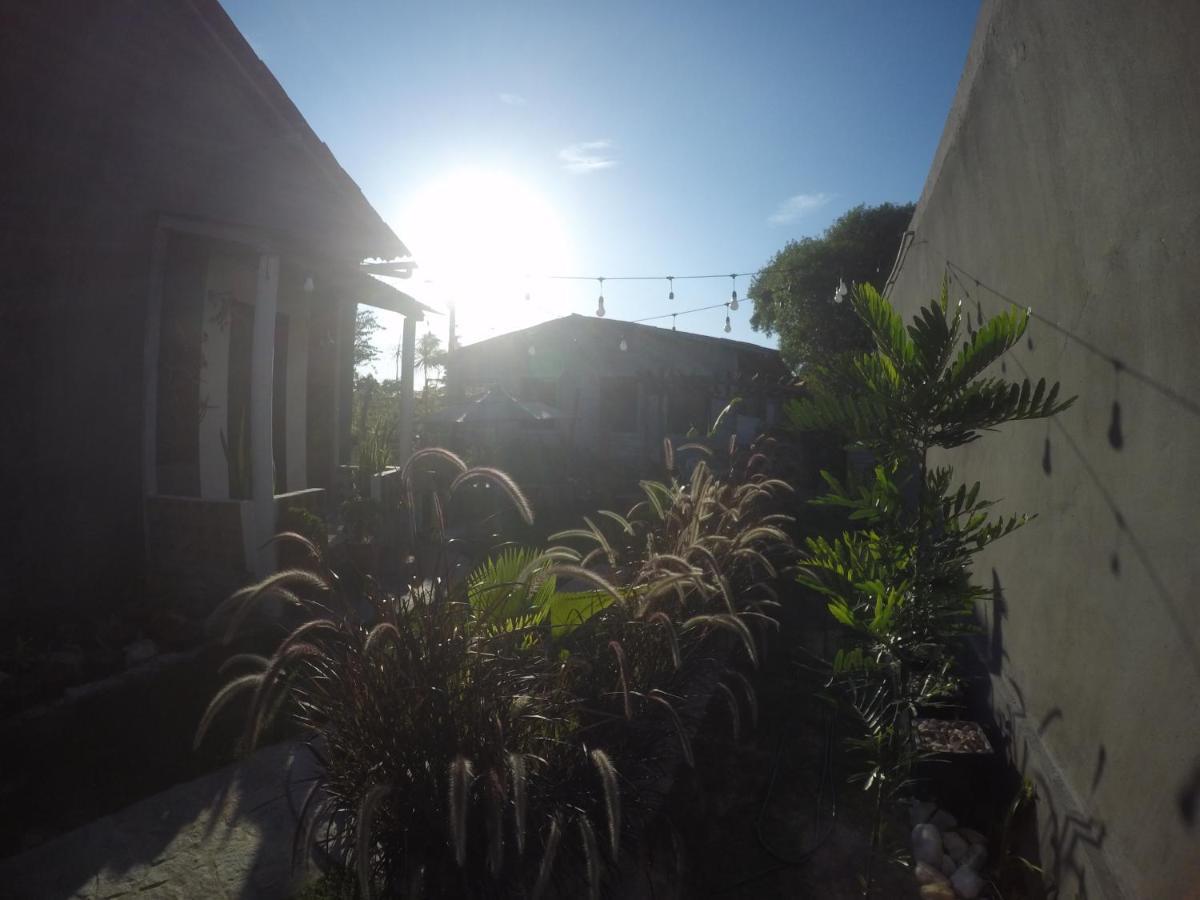 Tiny Home Garden Bananeiras Extérieur photo